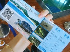 -广东惠东海龟国家级自然保护区