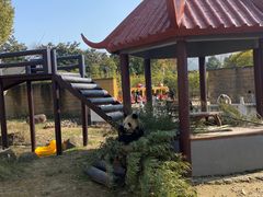 -杭州野生动物世界