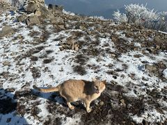 -东天目山风景区