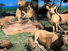 -国家自然博物馆