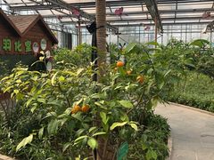 -南宫五洲植物乐园