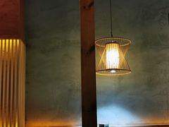 -探窝·竹笙椰子鸡(杨箕店)