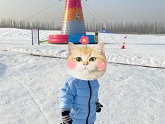 -绿野森林乐园冰雪季