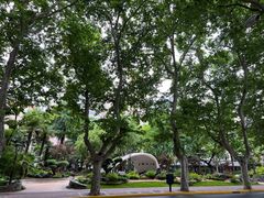 -徐家汇源景区-衡山公园