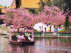 -宝墨园景区