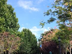 -青岛中山公园-索道售票处