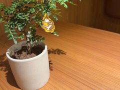 -CURRY YA 熟成咖哩專門店(深圳湾万象城店)