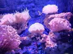 -石林冰雪海洋世界