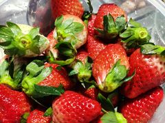 -黑妹冕宁火盆烧烤(西昌店)