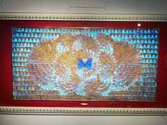 -上海昆虫博物馆