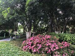 -常州古运河南大街文化旅游区-人民公园