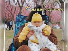 -秀丽东方