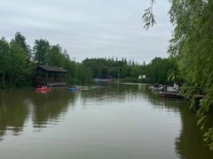 -上海长兴岛郊野公园