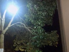 -世间香境·七溪地