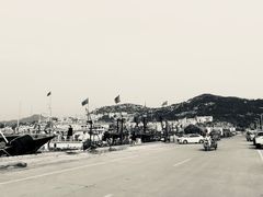-青岛沙子口国家中心渔港