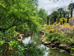 -上海共青森林公园