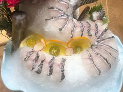 -尚海豆捞(乐虹坊店)