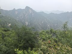 -大岭沟猕猴桃谷风景区
