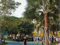 -宝安西湾红树林湿地公园