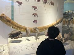 -国家自然博物馆