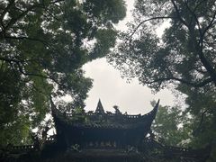-青城山