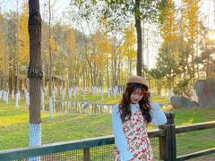 -艾溪湖湿地公园