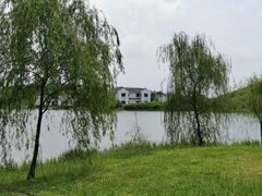 -金卉庄园