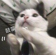 -川和潮人漂色·烫染·接发
