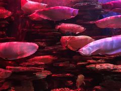 -多彩贵州城极地海洋世界