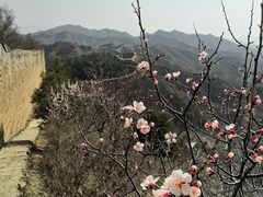 -蟠龙山长城景区