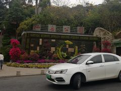 -仙岳公园