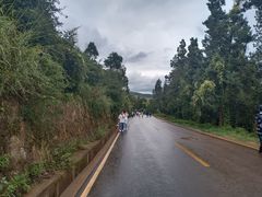 -长虫山生态公园风景林