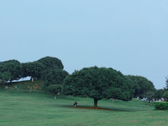 -红花山公园
