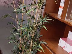 -端艾堂·SPA·艾灸(棕榈泉013店)