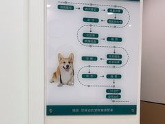 -瑞派康怡24h宠物医院·犬猫医疗中心·微创绝育(瑞景分院)