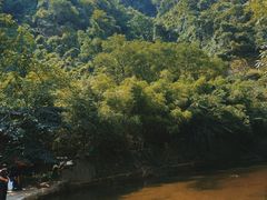 -西安祥峪森林公园