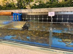 -川骄海鲜自助(河东店)