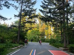 -长春市南湖公园