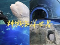 -威海华夏城景区