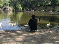 -石家庄市动物园