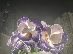 -上海第一八佰伴