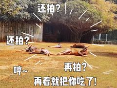 -常州淹城野生动物世界