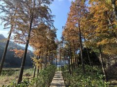 -广州市石门国家森林公园