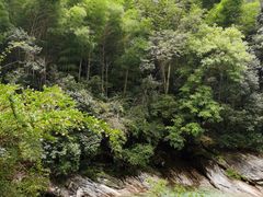 -黄山翡翠谷景区