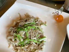 芫爆散丹-烤肉宛饭庄(北新桥店)