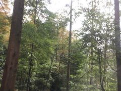 -花水湾第一村温泉大酒店