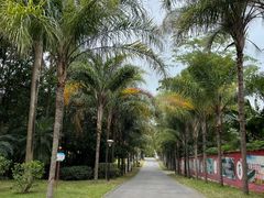 -北海市海滨公园