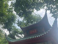 -万泊酒店(长沙五一广场国金中心店)