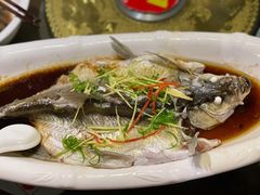 -醉美东江·三文鱼·烧鸡公