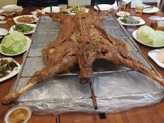 -大家烤羊庄·聚餐团建·谢师宴·生日派对(南山店)